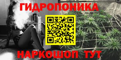 ГАЛЛЮЦИНОГЕННЫЕ ГРИБЫ Пугачёв