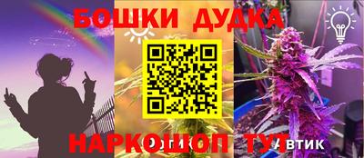 индика Пыть-Ях