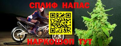 ГАЛЛЮЦИНОГЕННЫЕ ГРИБЫ Пугачёв