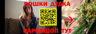индика Пыть-Ях