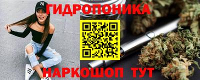 индика Пыть-Ях