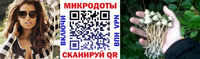 Галлюциногенные грибы мухоморы  mega онион  Петропавловск-Камчатский  что такое  