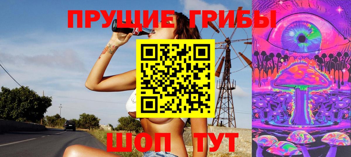 Псилоцибиновые грибы Psilocybine cubensis  Вход с VPN  Петропавловск-Камчатский 