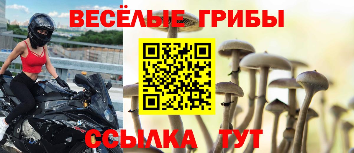Галлюциногенные грибы прущие грибы Петропавловск-Камчатский